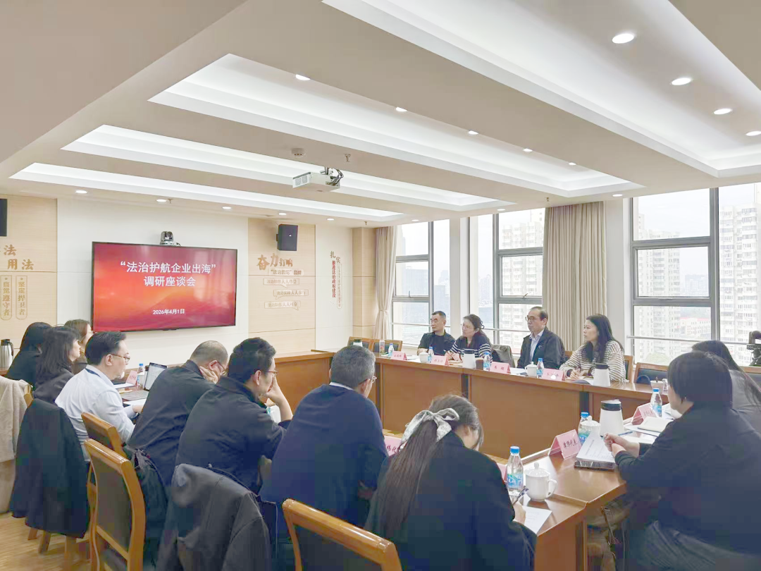 法治护航出海.png
