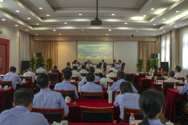 14113027geox.jpg 14113027geox.jpg