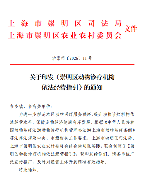 萌宠2.png